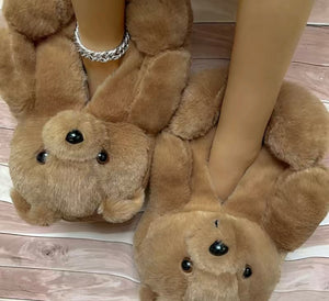 Bear House Shoes